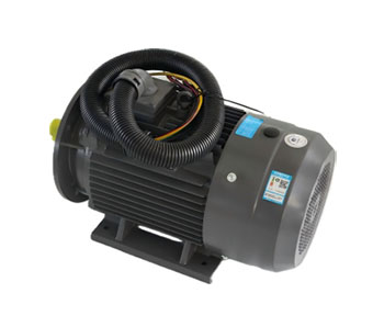 <strong>永磁电机1500rpm ​</strong>