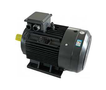 <strong>永磁电机1000rpm</strong>